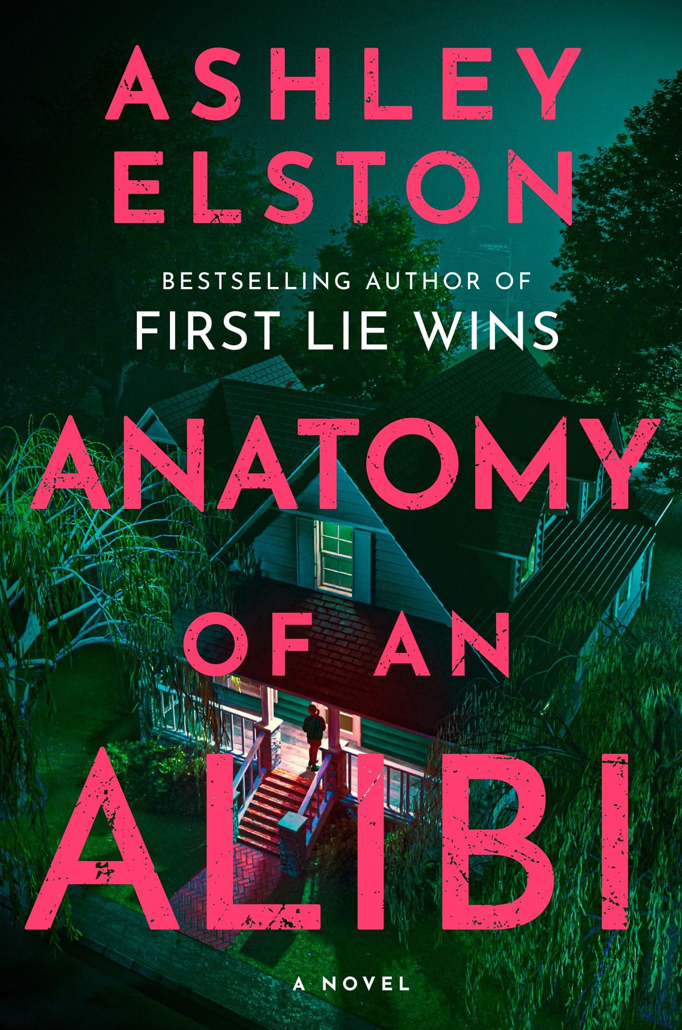 Anatomy of an Alibi book cover