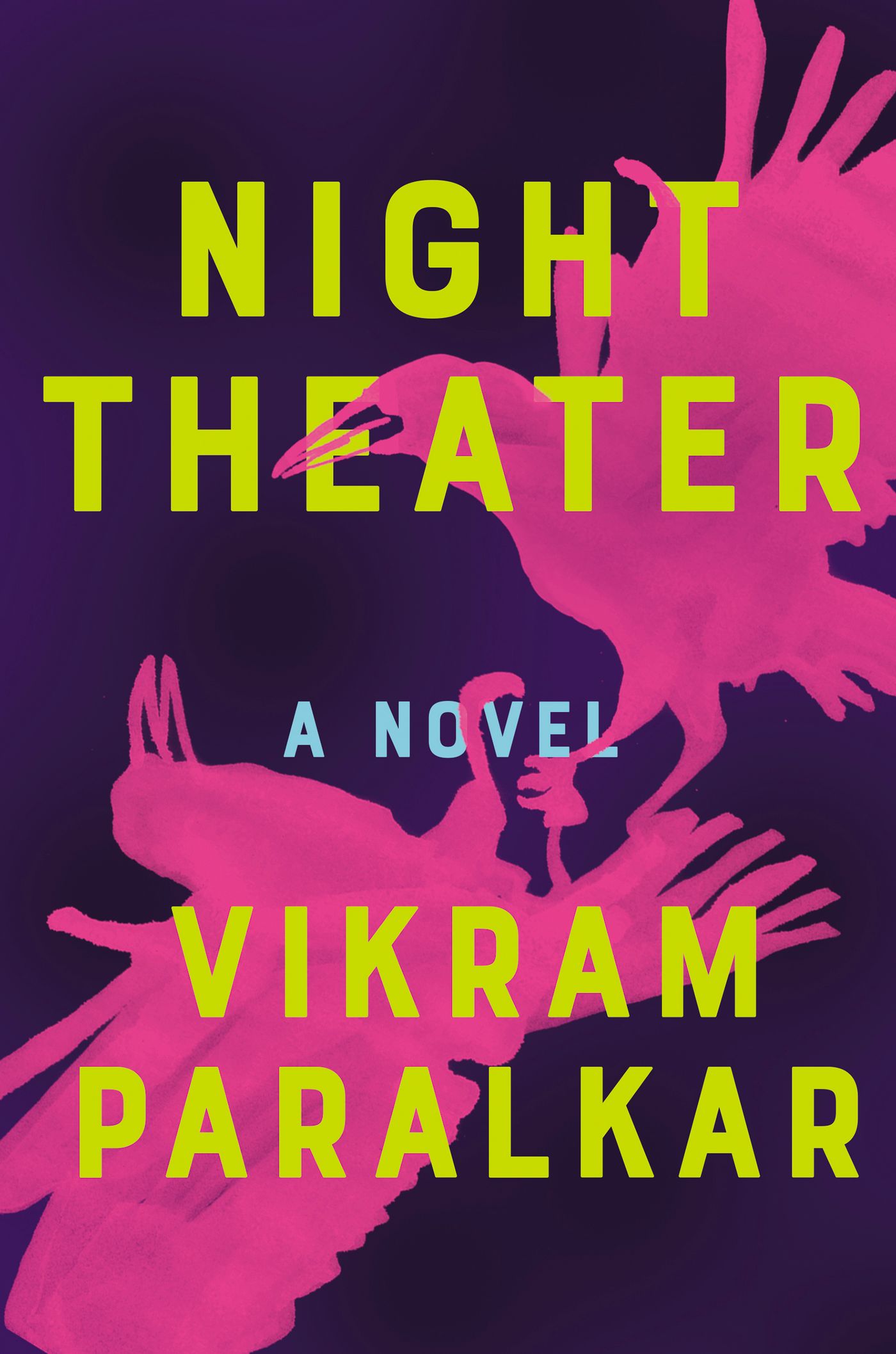 Night Theater book cover