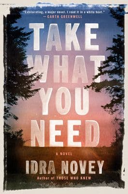Take What You Need book cover