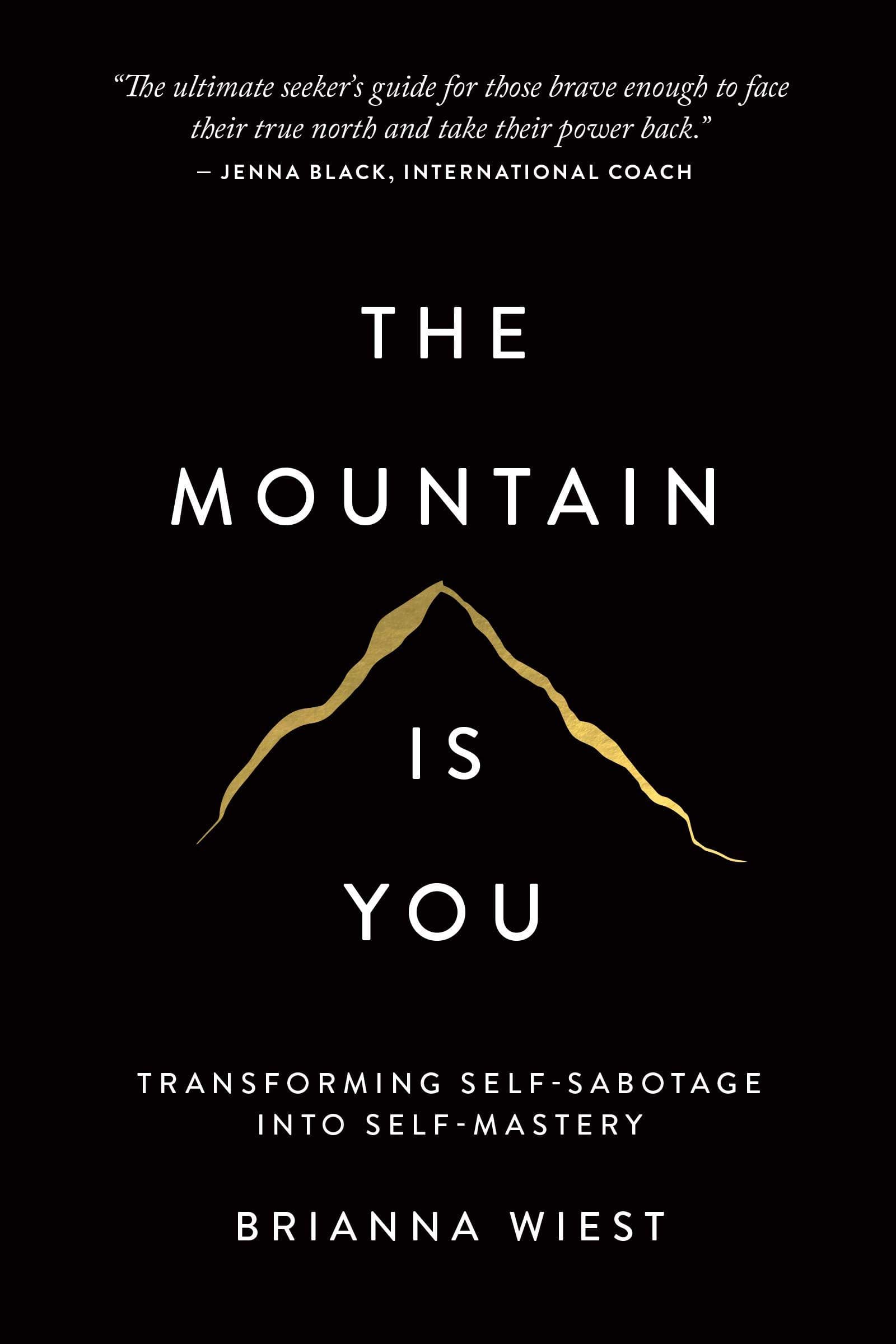 The Mountain is You book cover