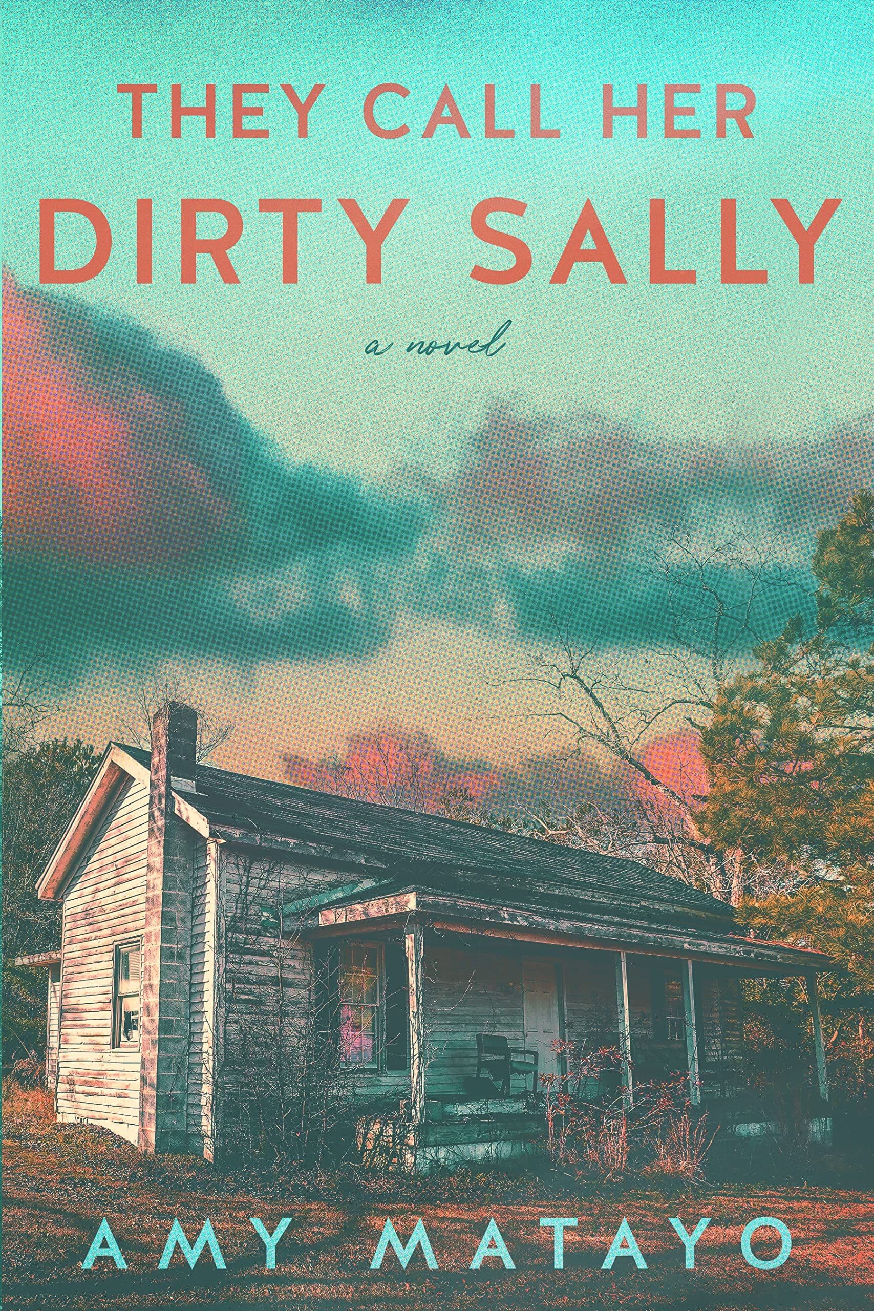 They Call Her Dirty Sally book cover