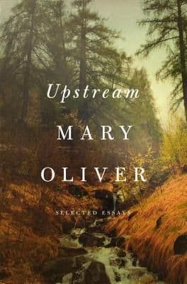 Upstream book cover