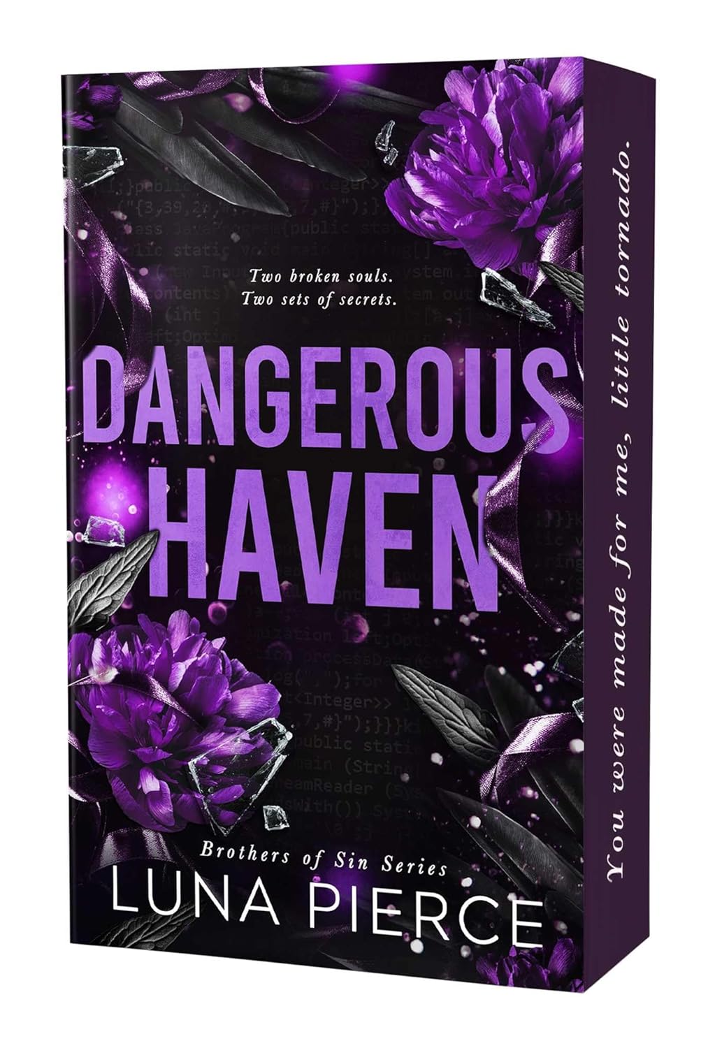 Dangerous Haven book cover