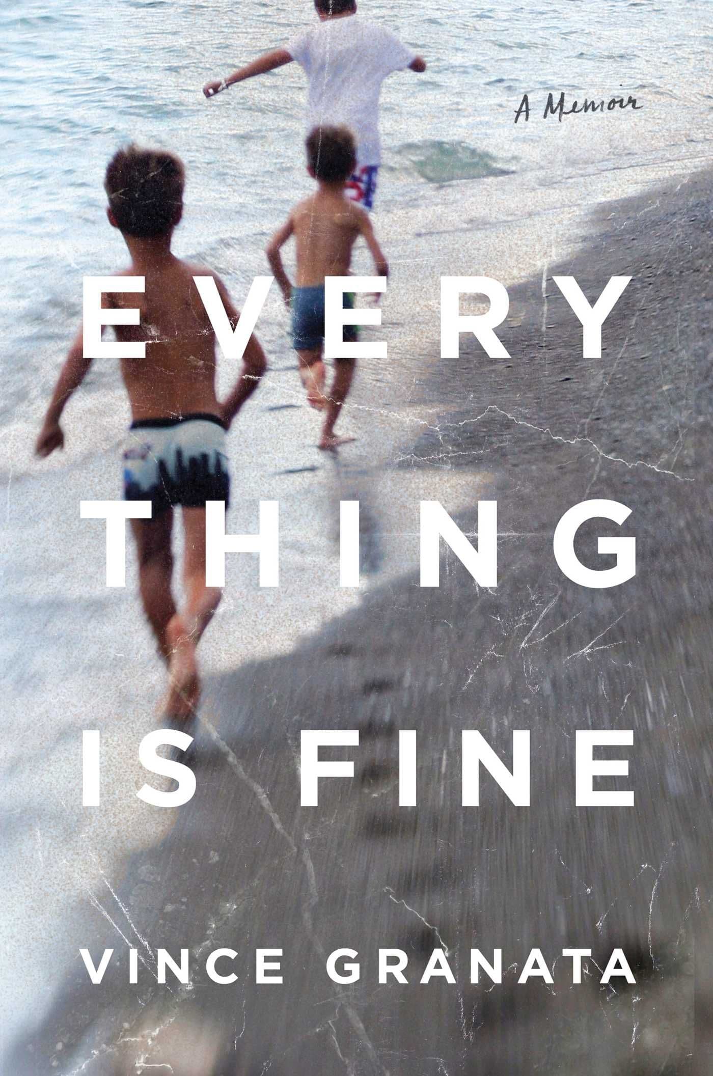 Everything Is Fine book cover