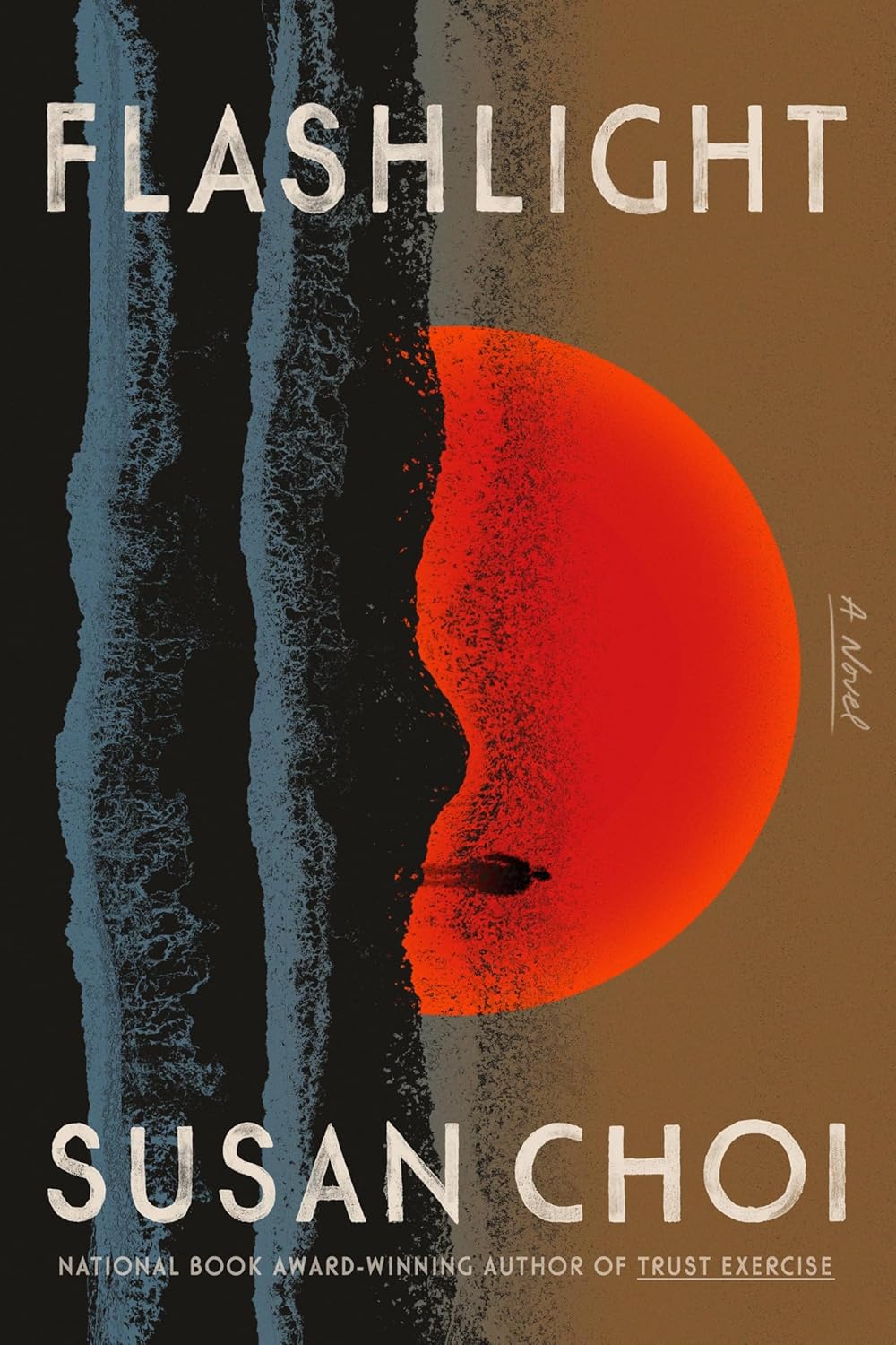 Flashlight book cover
