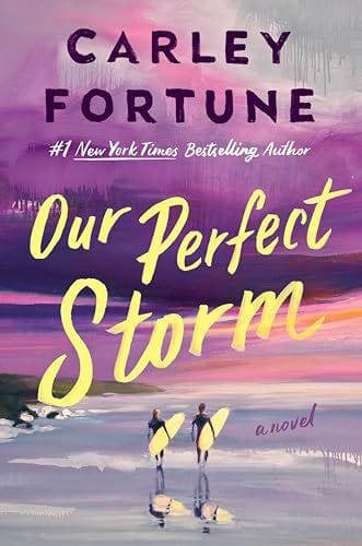 Our Perfect Storm book cover